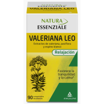 VALERIANA LEO ANGELINI 90 COMP