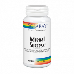 Solaray Adrenal Success™-60 VegCaps