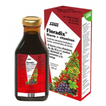 Floradix Hierro + Vitaminas 250ml