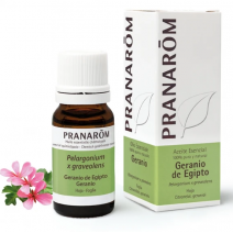 Pranarom Aceite Esencial Geranio de Egipto 10ml