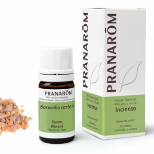 Pranarom Aceite Esencial Incienso 5 ml, Boswellia carteri BIO