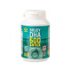 BRUDY DHA 500 ANTIOX 90 CAPSULAS