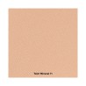 La Roche Posay Toleriane Teint Compacto Mineral Tono Caro, 9g